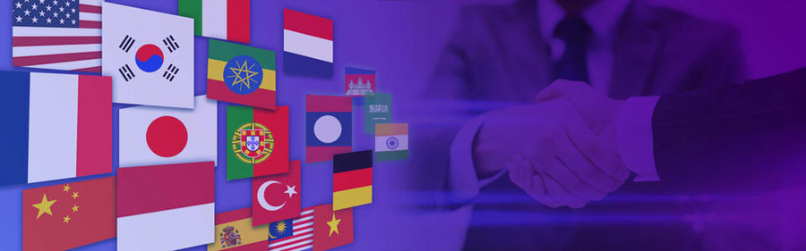 惠州小语种网站建设  第2张